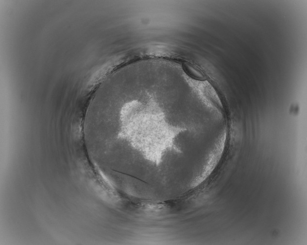 X0000111630401200908141348