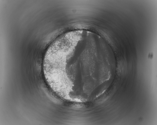 X0000111630402200908141348