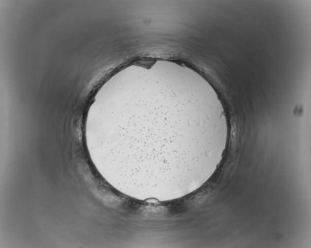 X0000111630403200908141348