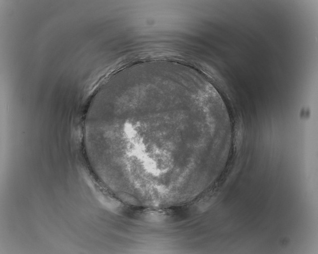 X0000111630405200908141348
