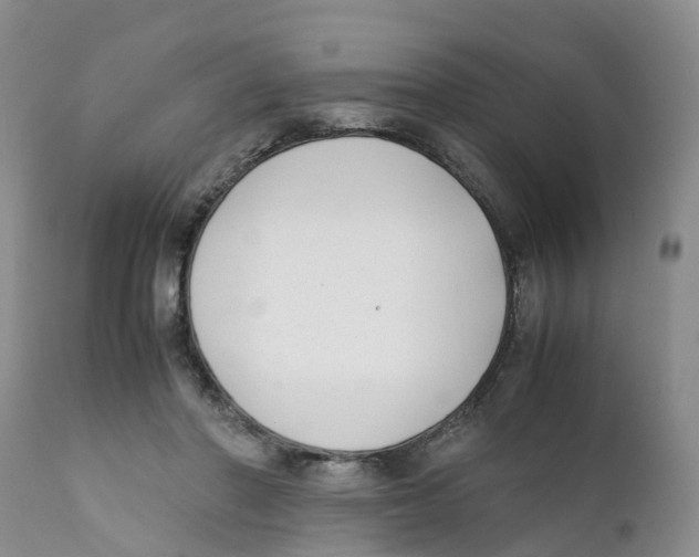 X0000111630406200908141348