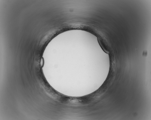 X0000111630407200908141348