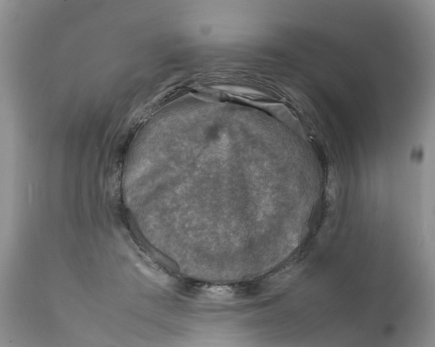 X0000111630409200908141348