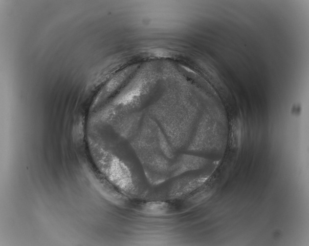 X0000111630410200908141348