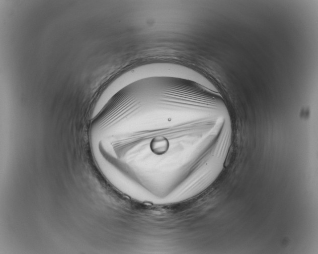 X0000111630411200908141348