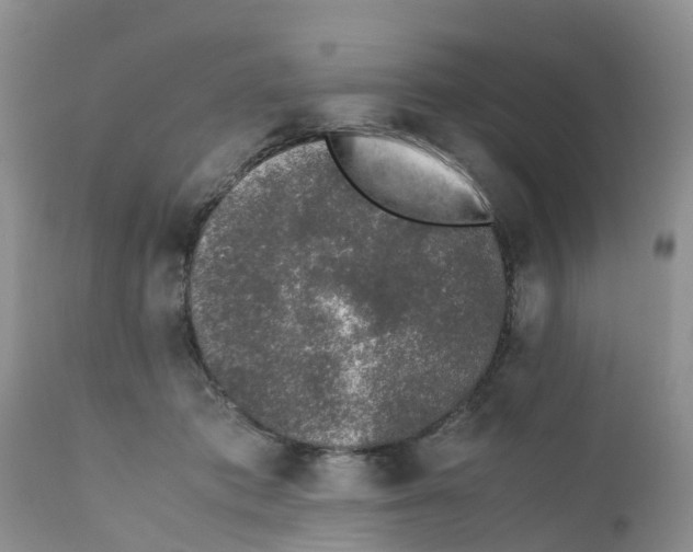 X0000111630413200908141348