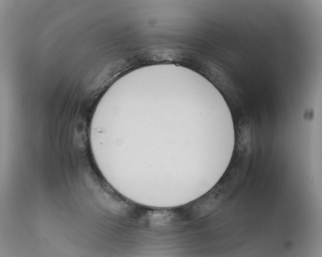 X0000111630414200908141348