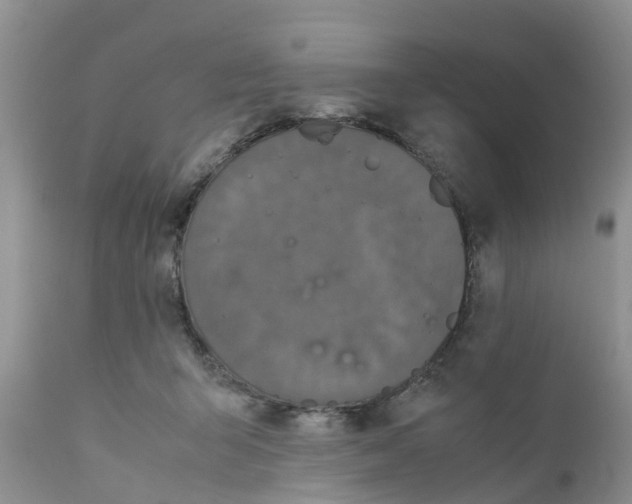 X0000111630415200908141348