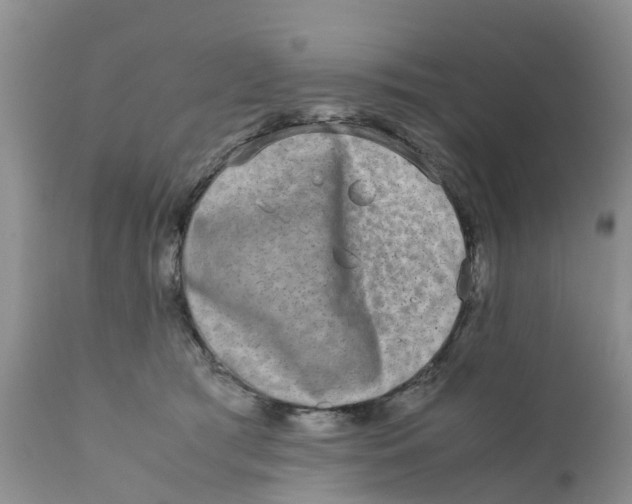 X0000111630417200908141348