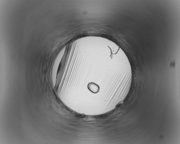 X0000111630419200908141348