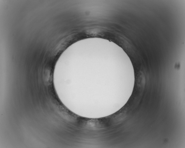 X0000111630420200908141348
