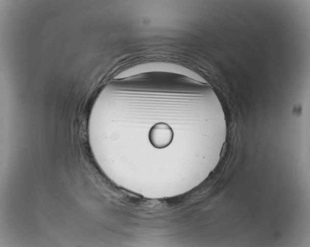 X0000111630421200908141348