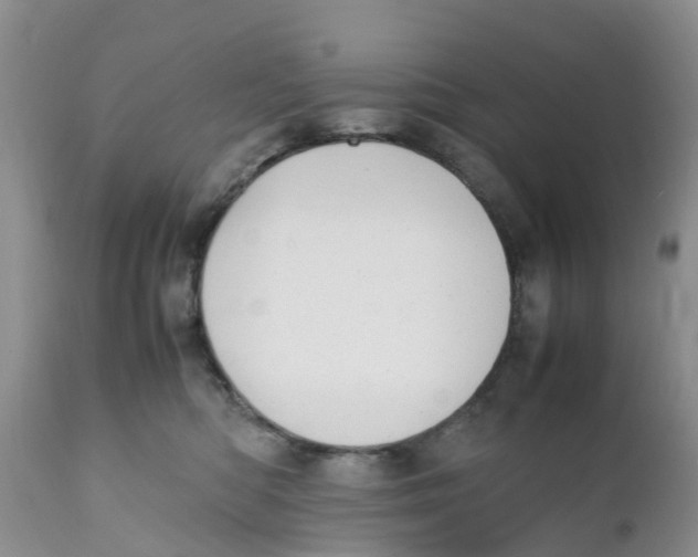 X0000111630422200908141348