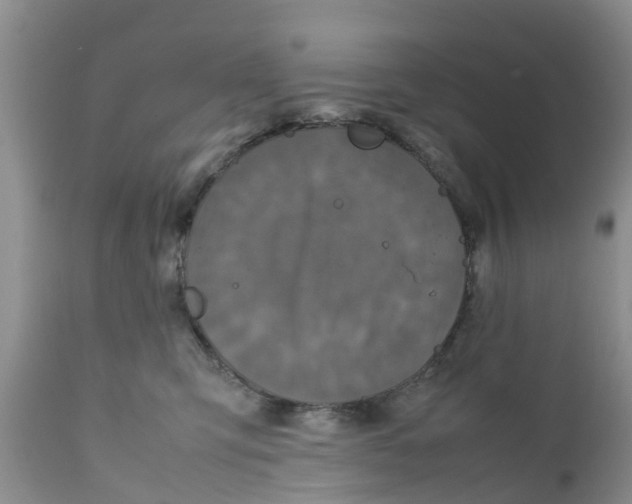 X0000111630423200908141348