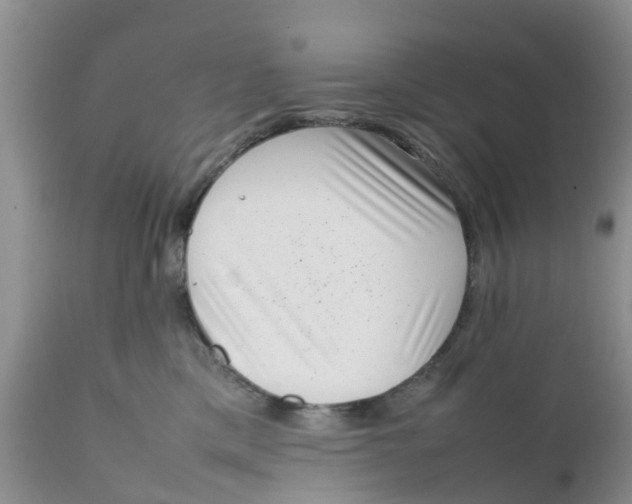 X0000111630425200908141348