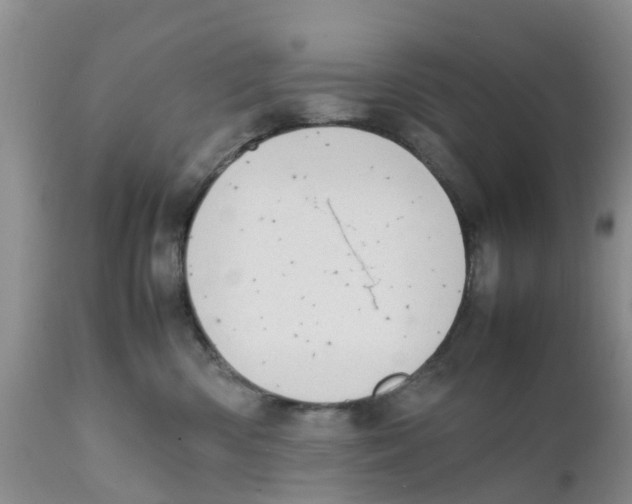 X0000111630426200908141348