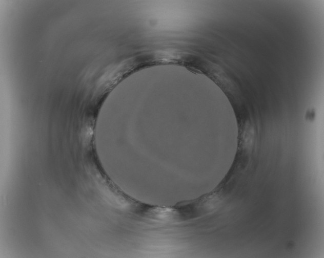 X0000111630427200908141348