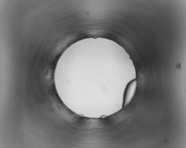 X0000111630428200908141348