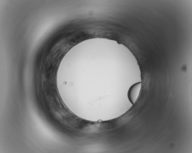 X0000111630430200908141348