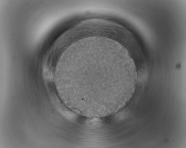 X0000111630431200908141348