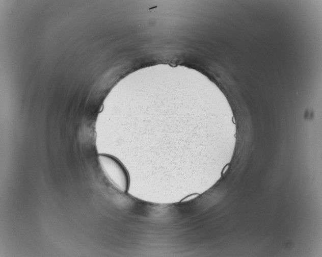 X0000111630432200908141347