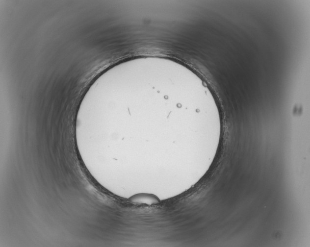 X0000111630433200908141347