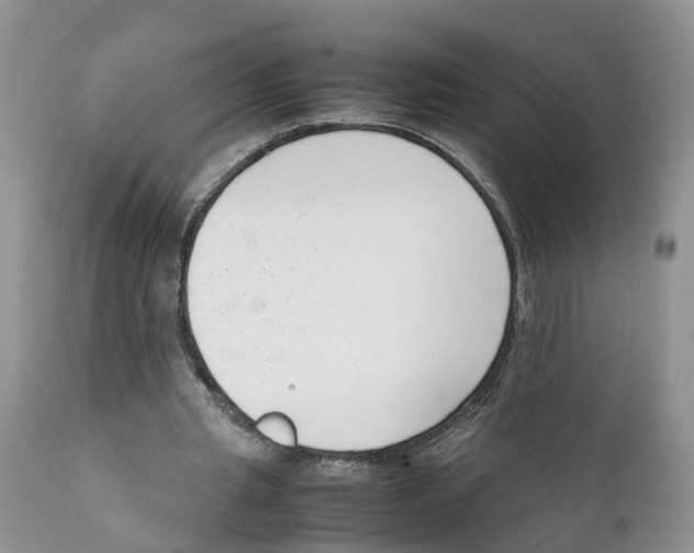 X0000111630437200908141347