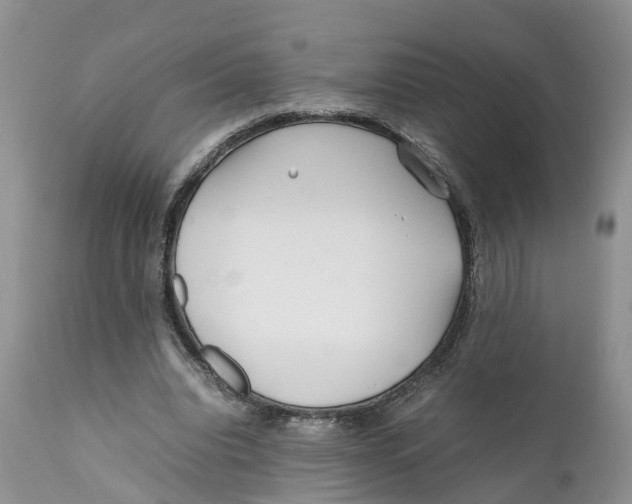 X0000111630440200908141347