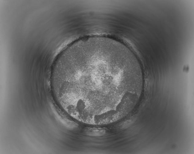 X0000111630443200908141347