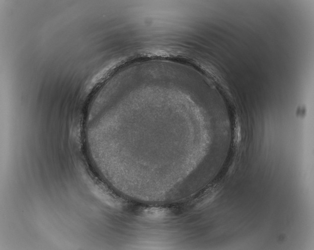 X0000111630444200908141347