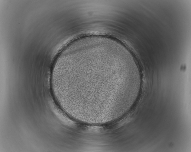 X0000111630446200908141347