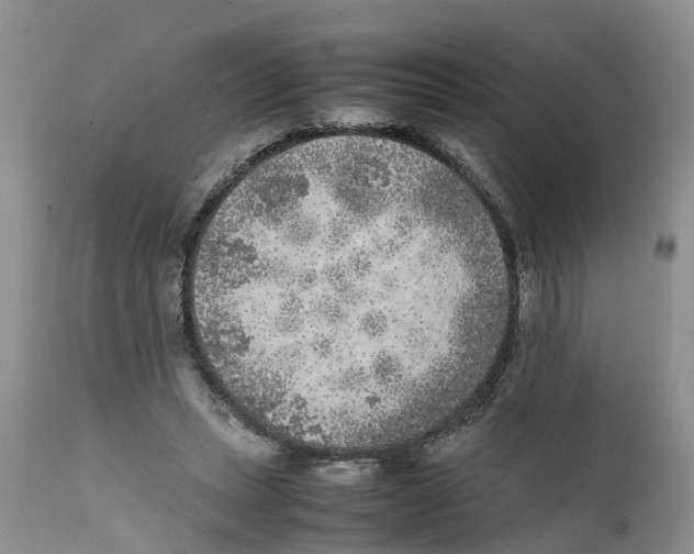 X0000111630447200908141347