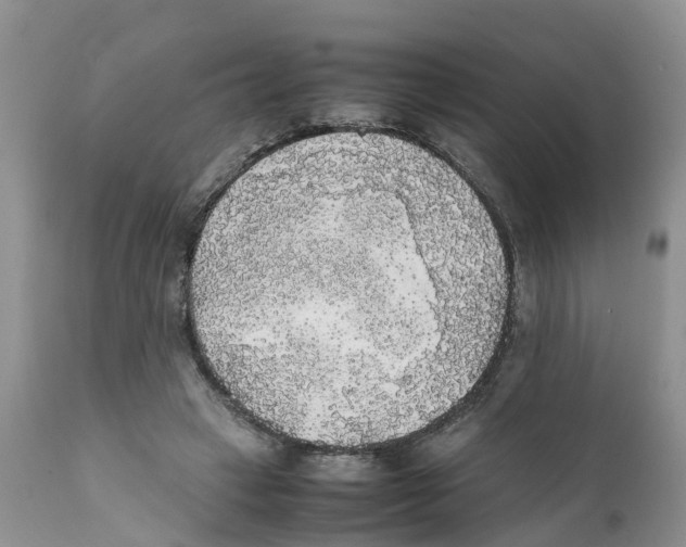 X0000111630449200908141347