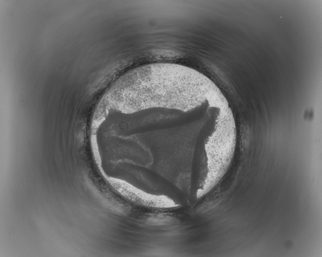 X0000111630451200908141347
