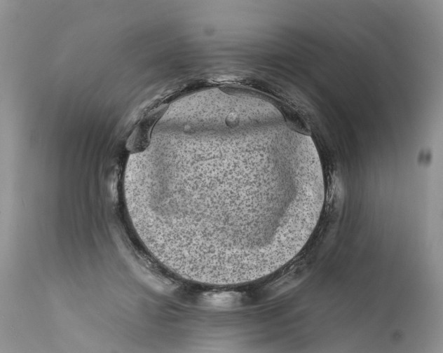 X0000111630452200908141347