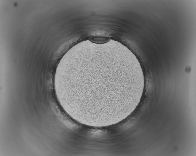 X0000111630453200908141347