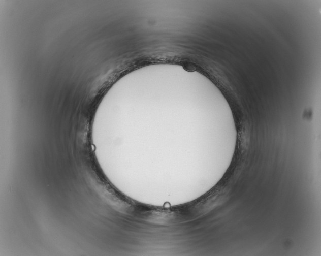 X0000111630458200908141347