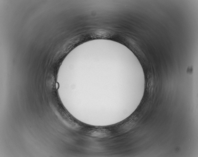 X0000111630459200908141347