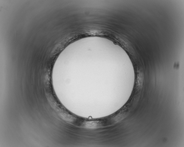 X0000111630461200908141347