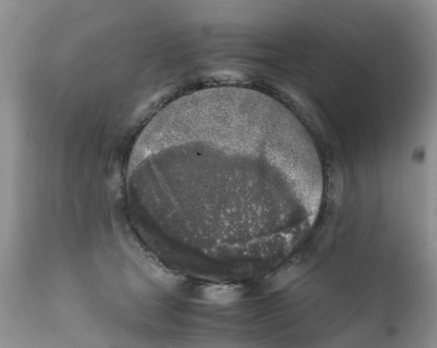 X0000111630465200908141347