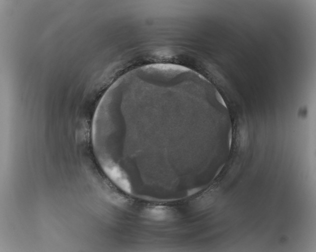 X0000111630467200908141347