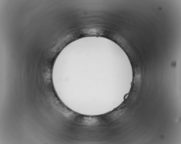X0000111630469200908141347