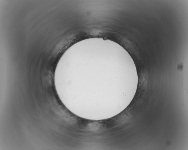 X0000111630470200908141347