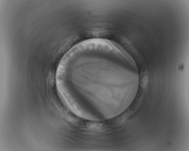 X0000111630471200908141347