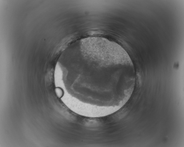X0000111630475200908141347
