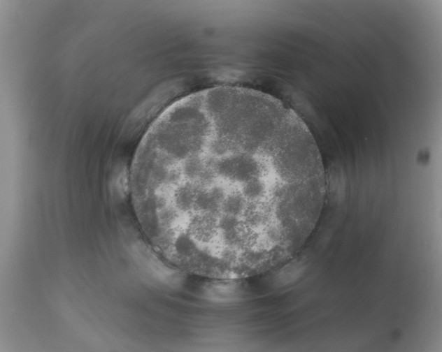 X0000111630479200908141347