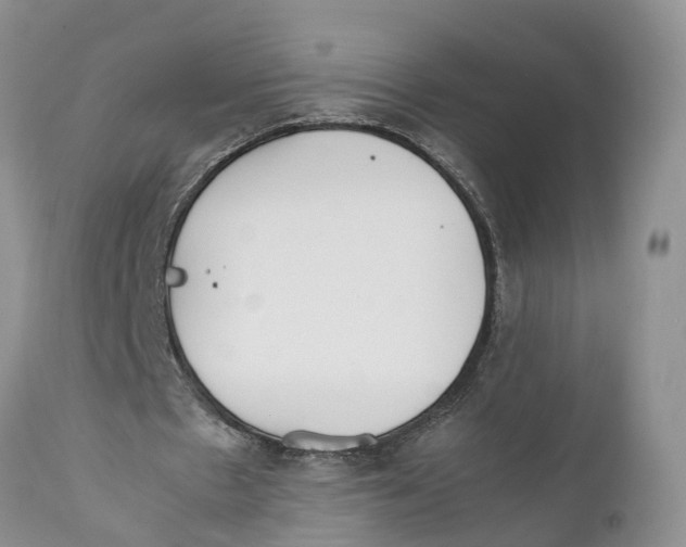 X0000111630481200908141347