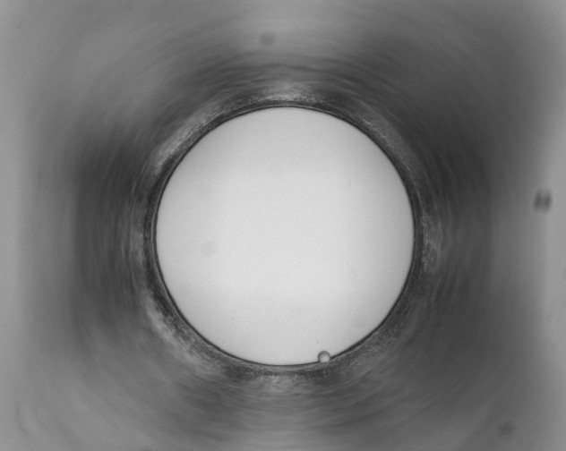 X0000111630482200908141347