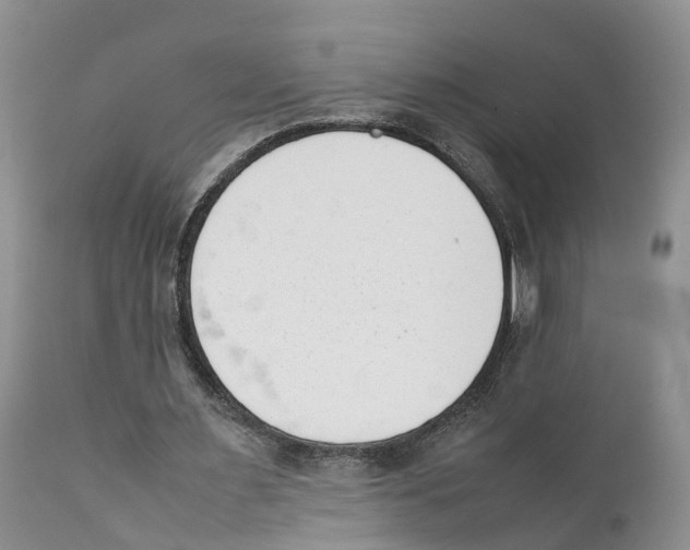 X0000111630483200908141347