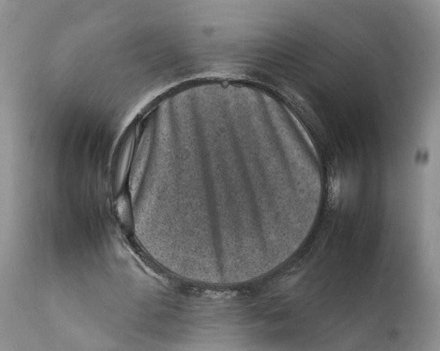 X0000111630484200908141347